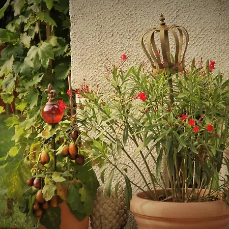 Hébergement de vacances Ferienhaus Kutscherhaus Casa Chabeli - Berlin, Max 11 Personen Berlin