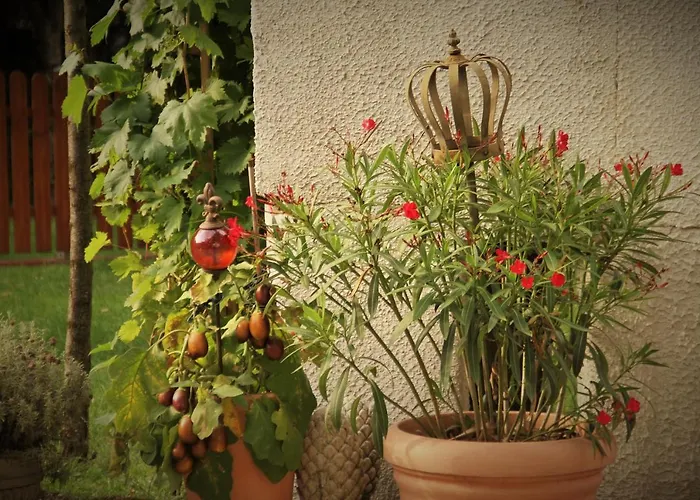 Tatil Evi Ferienhaus Kutscherhaus Casa Chabeli - Berlin, Max 11 Personen Berlin